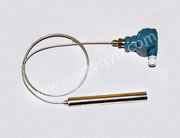 投入式液位(wei)變送器