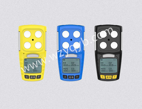 便攜(xie)式氣體檢(jiǎn)測儀多組(zu)分