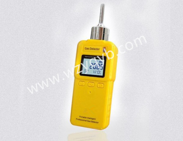 便攜式氣(qi)體檢測儀(yi)